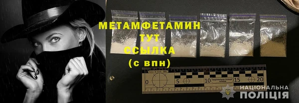 прущие грибы Костерёво