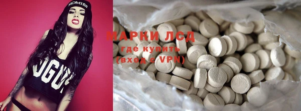 прущие грибы Костерёво