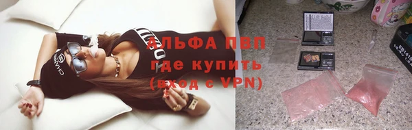 прущие грибы Костерёво