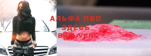 прущие грибы Костерёво