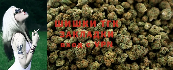 прущие грибы Костерёво