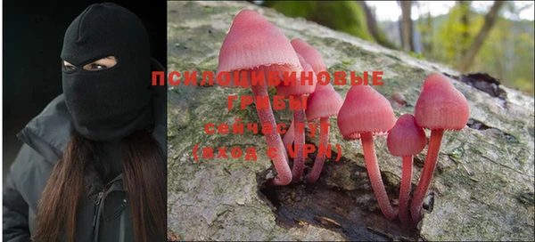 соль курить ск Коряжма