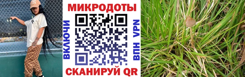 Псилоцибиновые грибы мухоморы  Ленск 